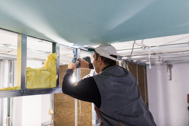 Best Energy Efficiency Insulation in Dover, FL