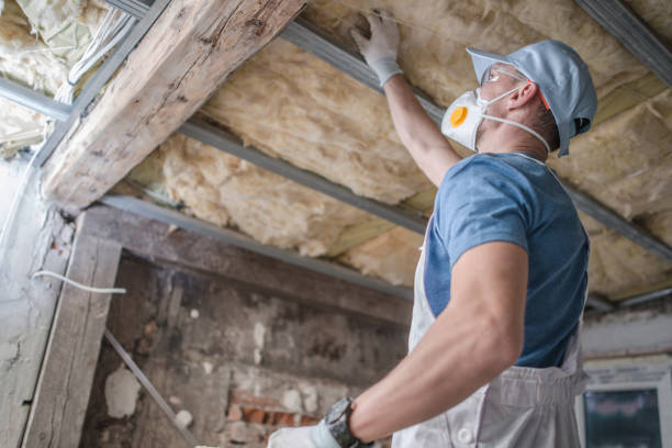 Best Cellulose Insulation in Dover, FL