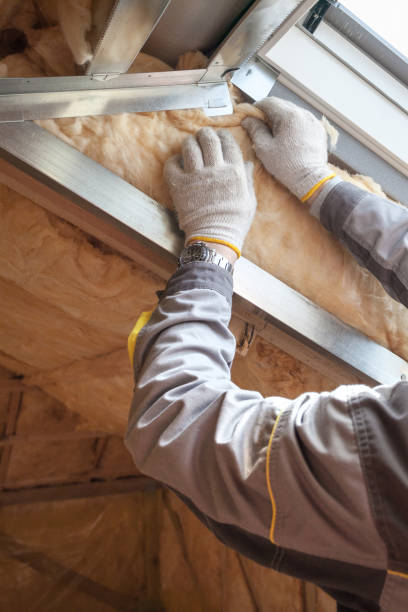 Best DIY Insulation Kits and Guidance in Dover, FL