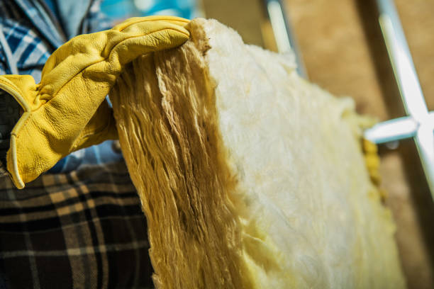 Best Blown-in Insulation in Dover, FL