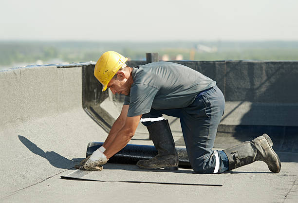Best Geographic-Specific Insulation Services in Dover, FL