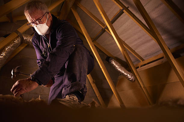 Best Eco-Friendly Insulation in Dover, FL