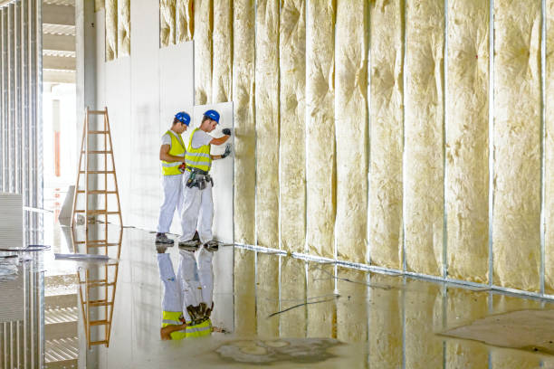Best Blown-in Insulation in Dover, FL